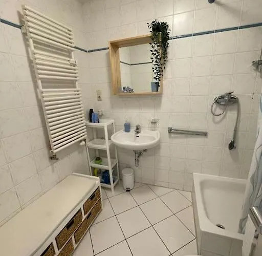 Studio-apartment Mit Balkon * Dresden